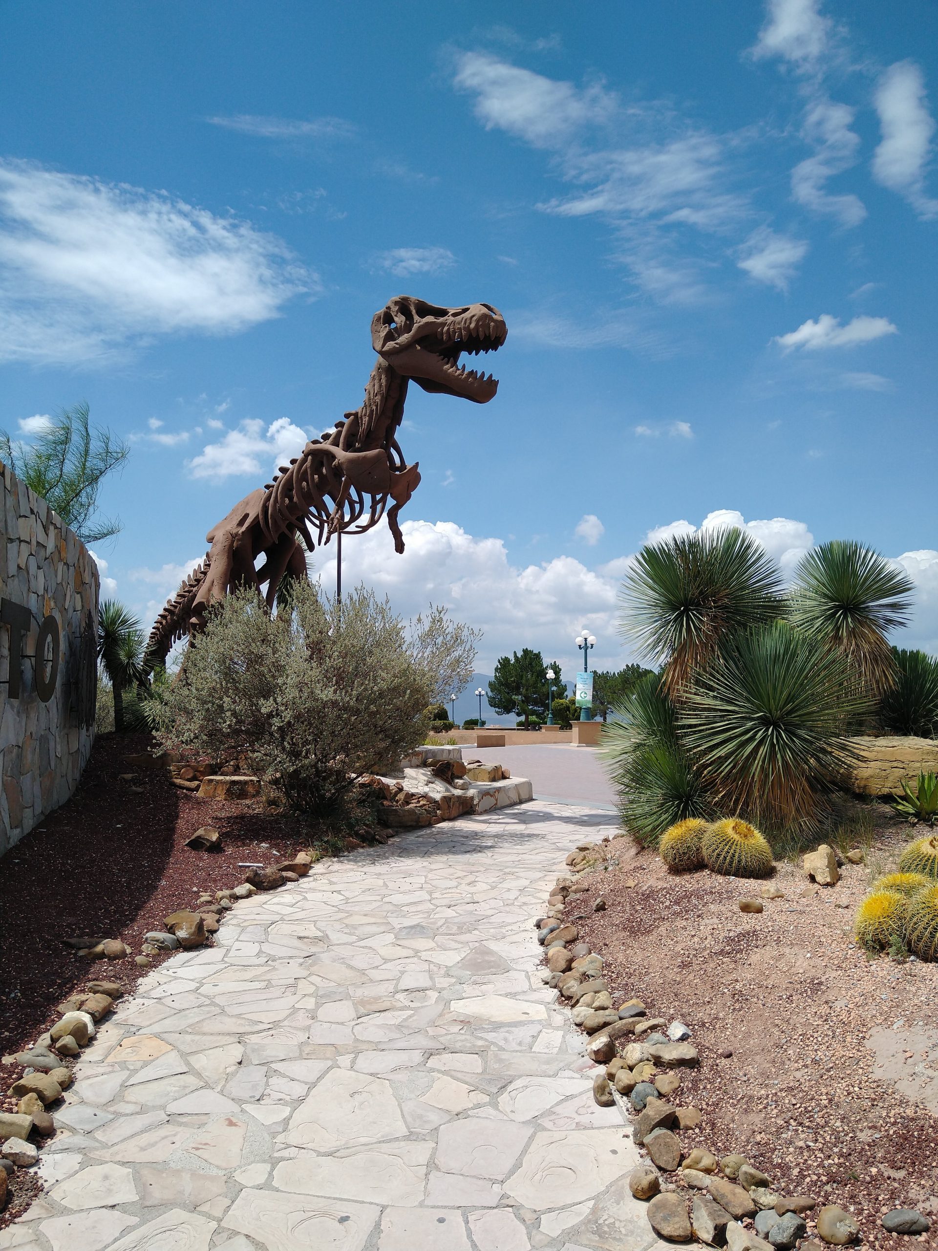 MUSEO DEL DESIERTO.