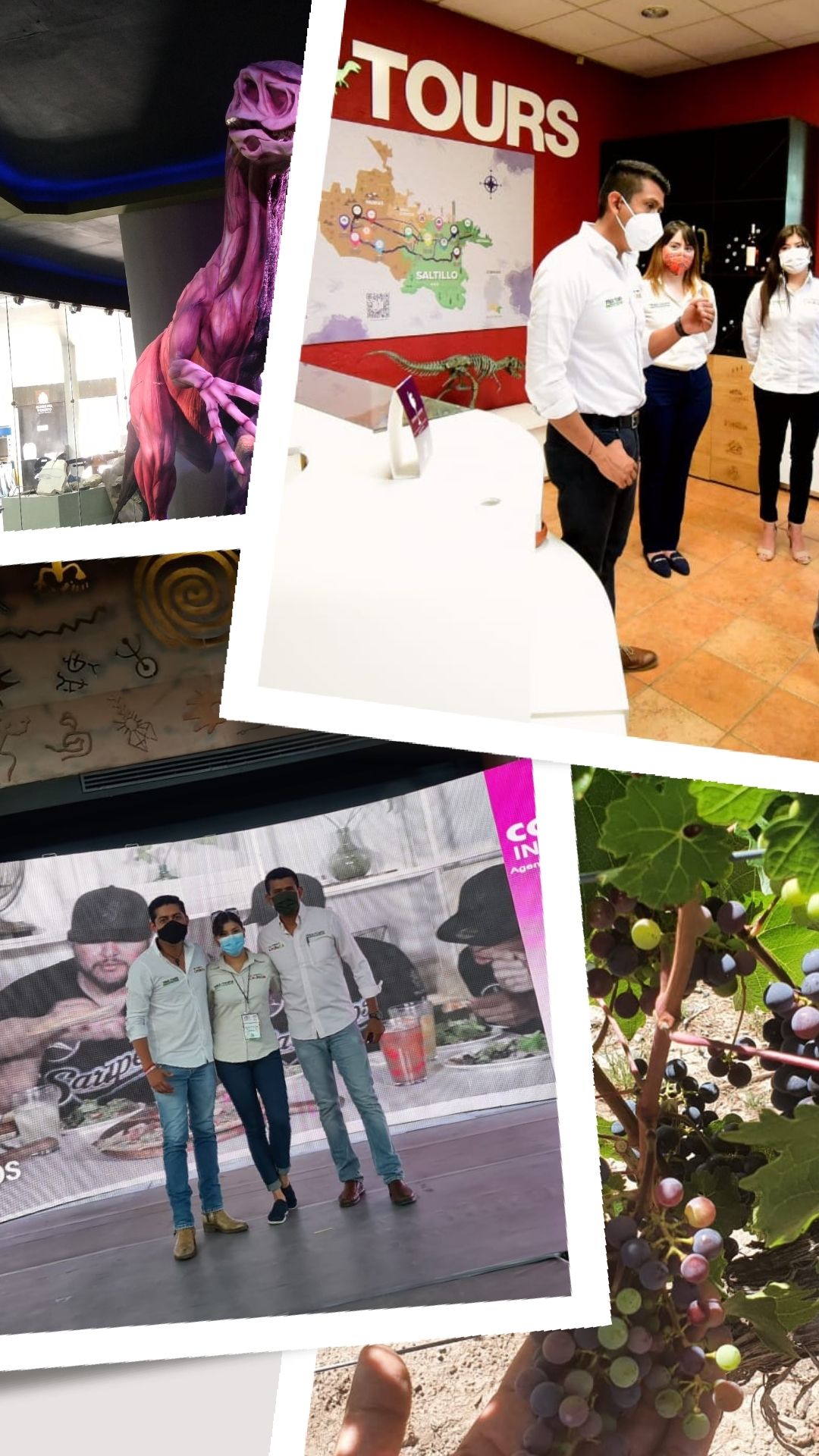 Rosa Mujer Flores Película Femenina Historia de Instagram